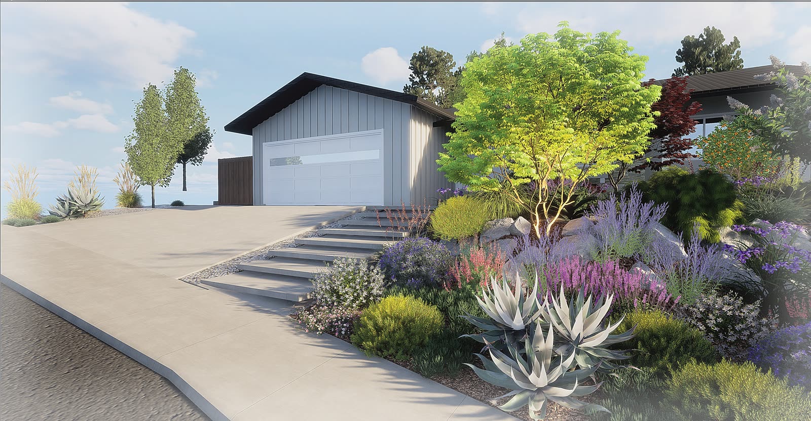 Drought-tolerant front yard planting with silver agaves, drifts of purple salvia, an uplit chartreuse maple and floating concrete steps, rendered in Landscape Creator
